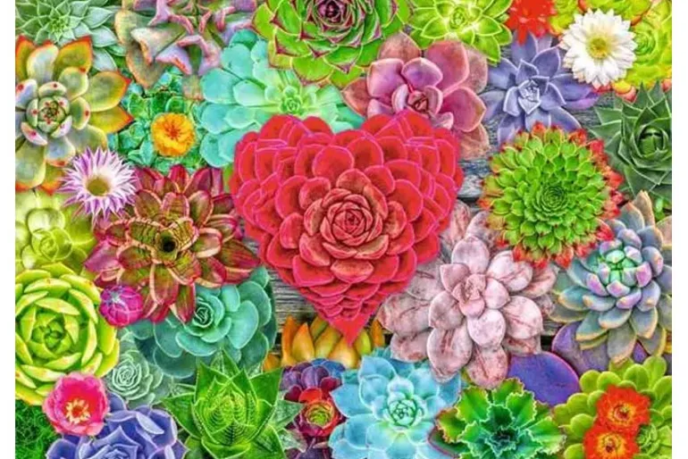 Succulent Love – 500 Piece Puzzle