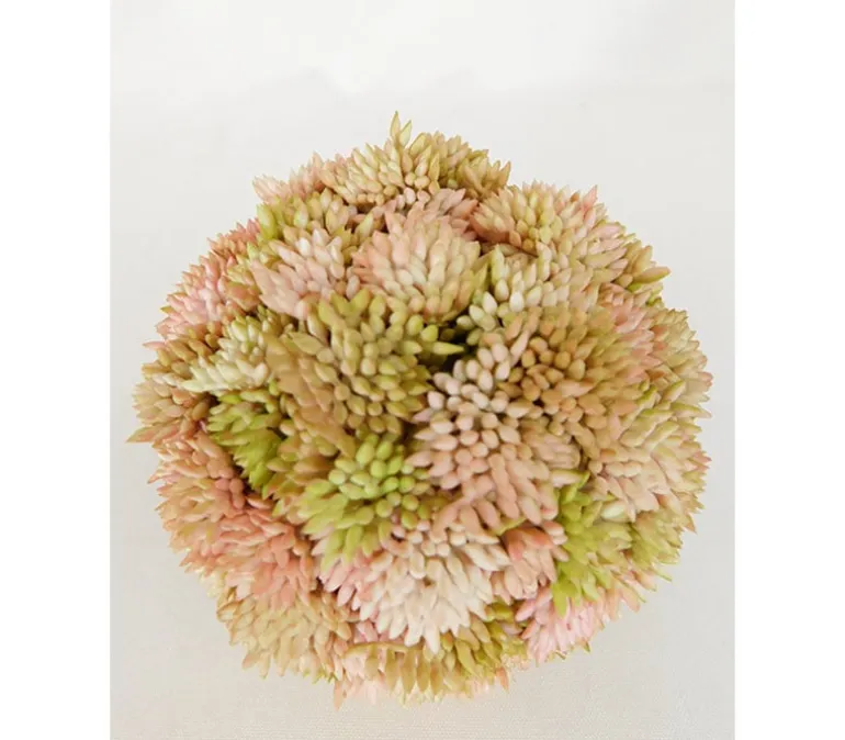 Succulent Orb – 4-inch