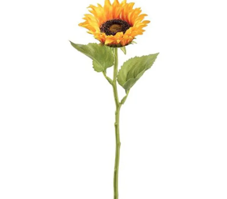 14″ Sunflower Spray, White