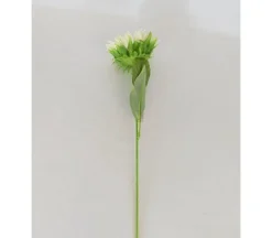 Sunflower Stem – Cream