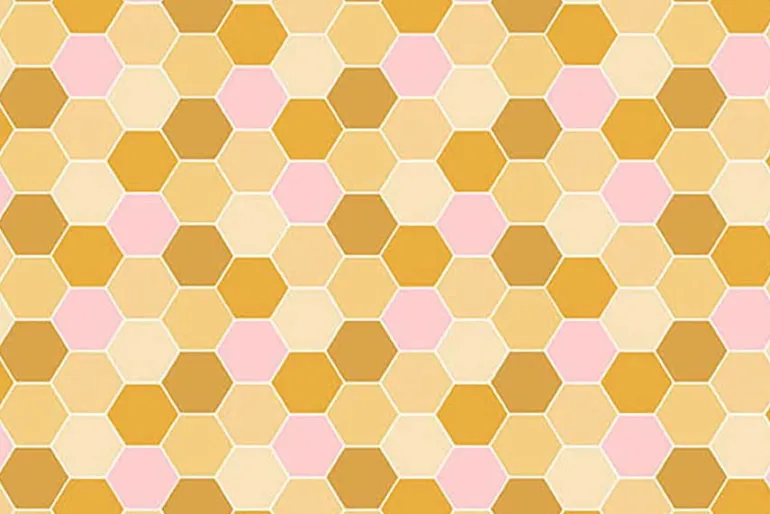 Sunset Cottage Petal Field in Pink