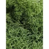 SuperMoss InstantGreen Moss Mat – 18-inch x 48-inch