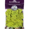 SuperMoss Orchid Bark – 2-ounce