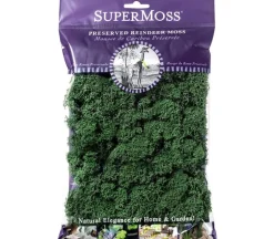 SuperMoss Reindeer Moss – Chartreuse – 2-ounce