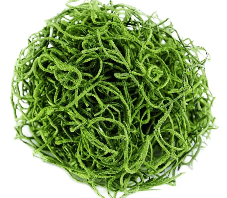 SuperMoss Reindeer Moss – Chartreuse – 2-ounce