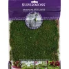 SuperMoss Reindeer Moss – Forest Green – 2-ounce