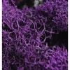 SuperMoss Reindeer Moss – Purple – 2-ounce