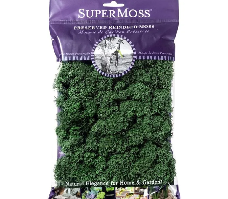 SuperMoss Sheet Moss – 2-ounce