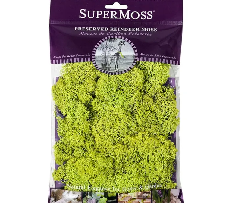 SuperMoss Sheet Moss – 2-ounce