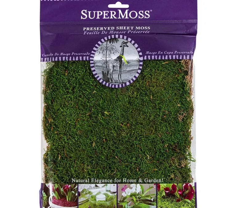 SuperMoss Spanish Moss – Grass Green – 4-ounce