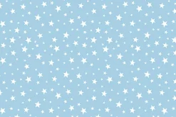 Sweet Little Lamb Little White Stars on Blue
