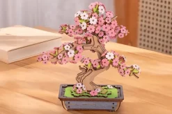 Symphony of Gorgeous Dreams Cello Music Box Kit
