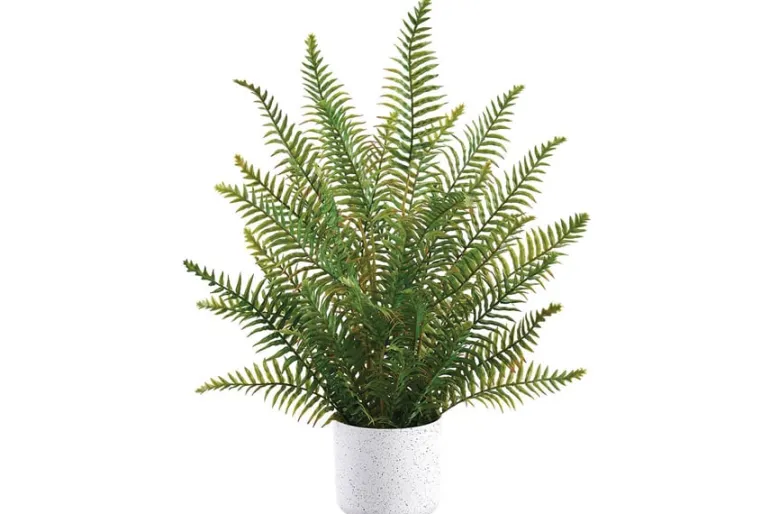5.5″ Terra Cotta Vase, Beige