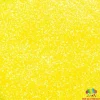 The Glitter Guy Glitter – Magic School Bus