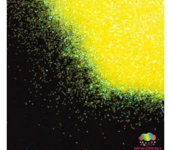 The Glitter Guy Glitter – Magic School Bus