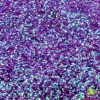 The Glitter Guy Glitter – The Scare Floor