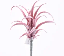 7″ Tillandsia Pick