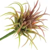 8.5″ Tillandsia Pick, Green