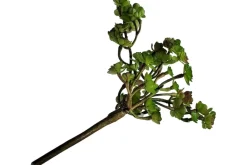 8.5″ Tillandsia Pick, Green