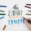Tombow Individual Dual Brush Pens (view colors)