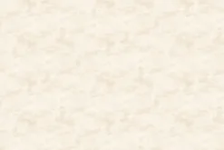 Toscana 118-inch Quilt Backing – Going Grey