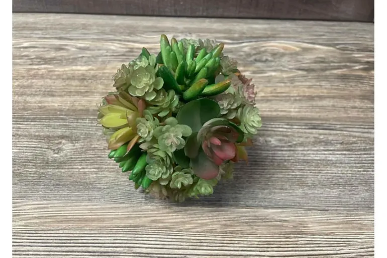 29″ Trailing Sedum, Coral