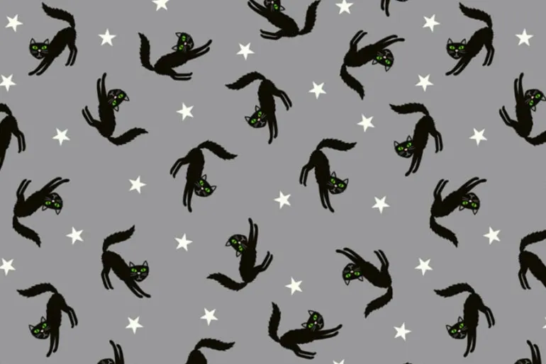 Transylvania Glow in the Dark Black Bats on Orange Ombre