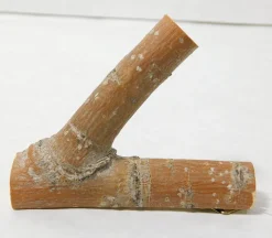 Tree Hook Nob