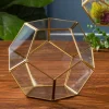 Triangle Shape Glass Terrarium – 6″ x 7″ – Geometric Plant Display