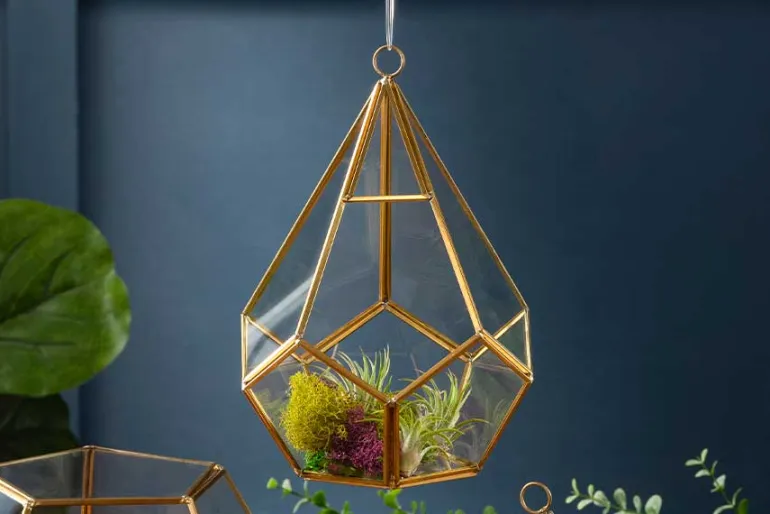 Triangle Shape Glass Terrarium – 6″ x 7″ – Geometric Plant Display