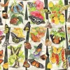 Tropical Butterflies – 1000 Piece Puzzle