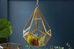 Truncated Glass Terrarium – 7″ x 8″ – Geometric Plant Display