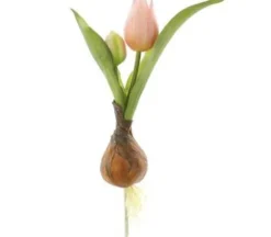 8″ Tulip Spray with Bulb, Pink