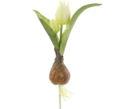 8″ Tulip Spray with Bulb, White