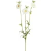 20″ UV Protected Sprengeri Fern Bush