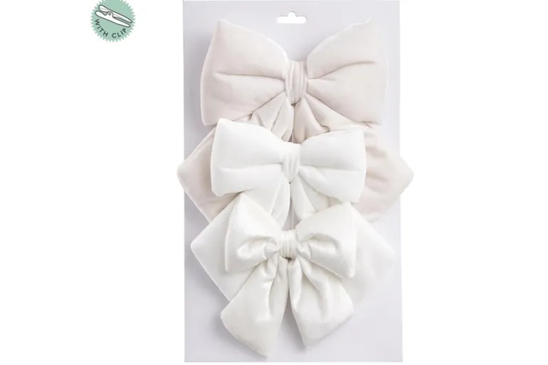 20″ UV Protected Sprengeri Fern Bush