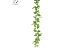 Variegated Ivy Garland with 98 Leaves, 6′