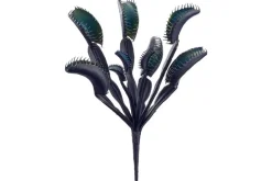 11″ Venus Flytrap Pick, Black