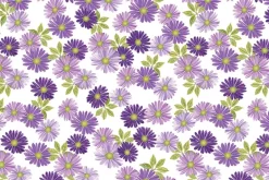 Veronica’s Garden Fresh Daisies on Navy