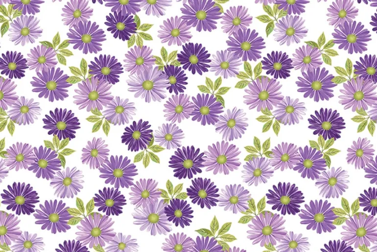 Veronica’s Garden Fresh Daisies on Navy