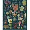 Vintage Ocean Flora – 1000 Piece Puzzle