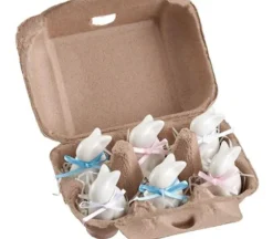 White Bunny in Crate – 6 Bunnies
