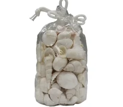 White Mix Seashell Bag