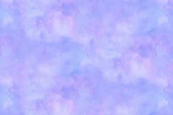 Wild Beauty Fantasy Plumes and Florals Dream