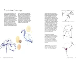 Wild Watercolour Connect To Nature Through The Art of Watercolor