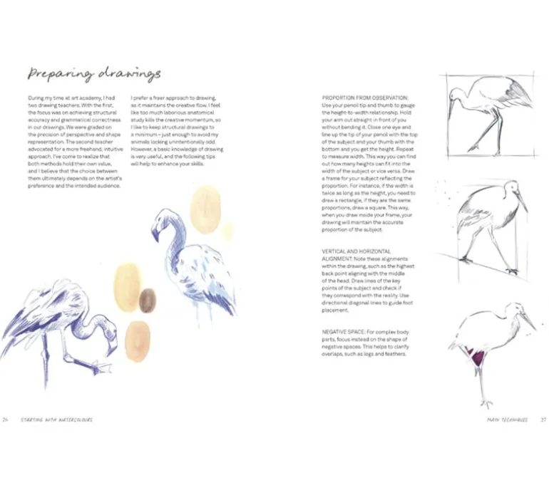 Wild Watercolour Connect To Nature Through The Art of Watercolor