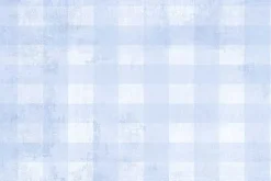 Wilmington Essentials Dry Brush Check in Pale Blue