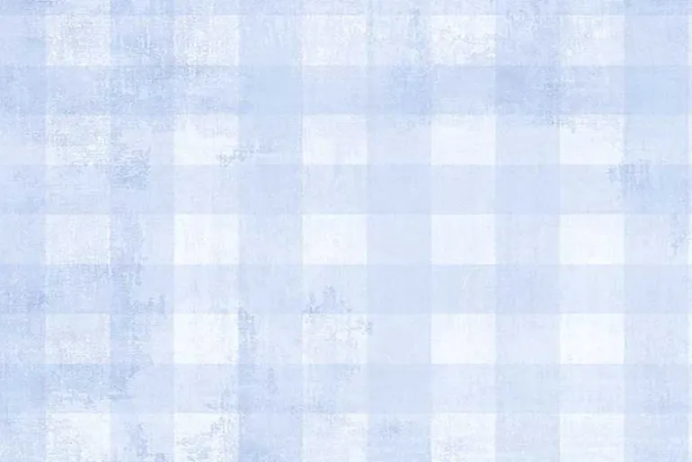 Wilmington Essentials Dry Brush Check in Pale Blue