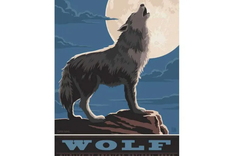Wolf – 300 Piece Puzzle