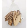 Wood Slices – 5-inch